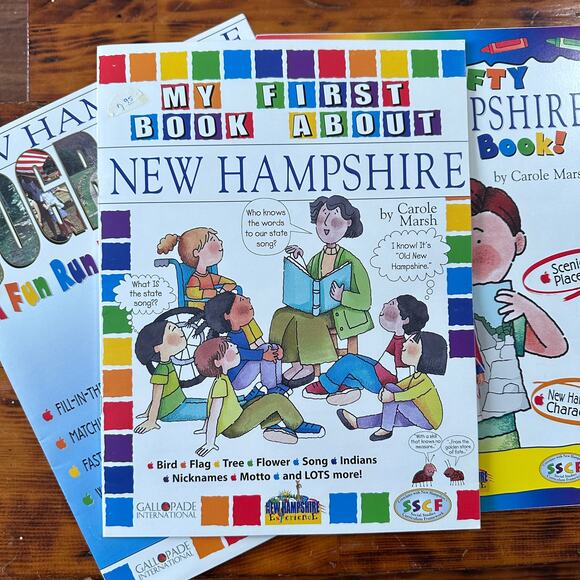 Vintage Bundle Of 3 Social Studies Curriculum Framework New Hampshire Workbooks - Picture 2 of 14